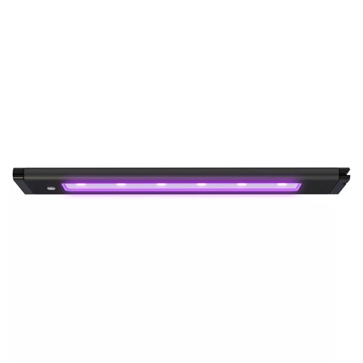 BLADE CORAL GLOW LED ACTINIC 66 inch