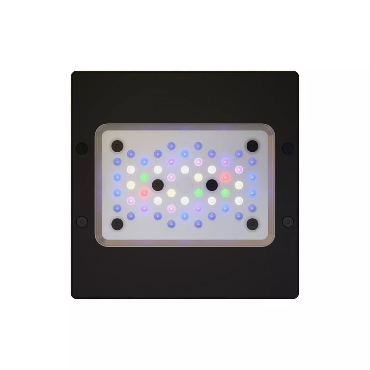LUMIÈRE LED RADION XR15 G6 PRO