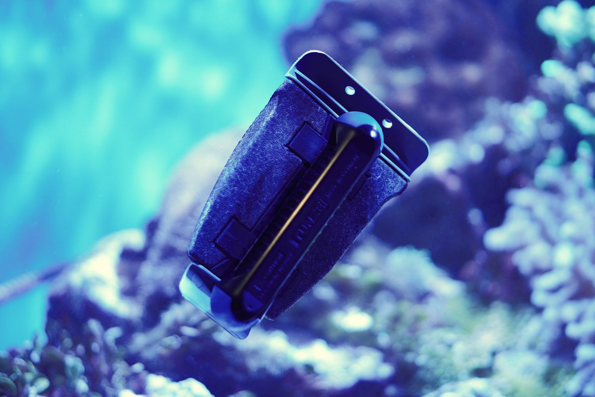 Care Magnet long 0222.015