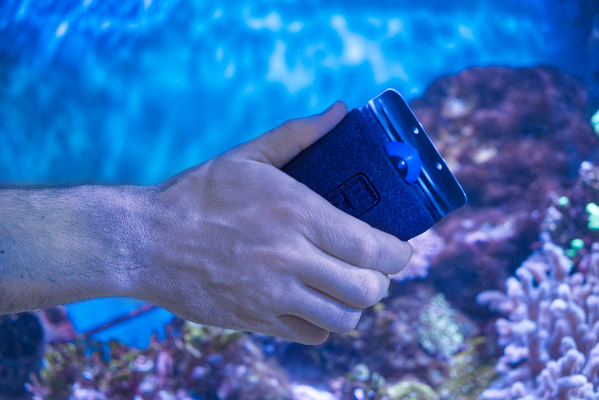 Care Magnet long 0222.015