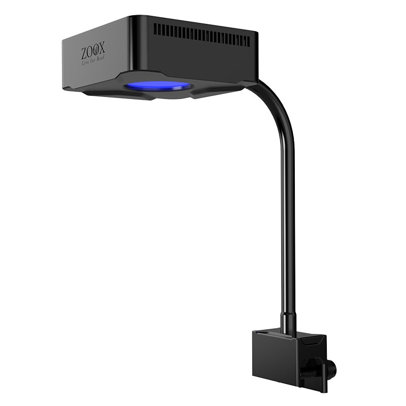 Zoox Acrobooster 65W