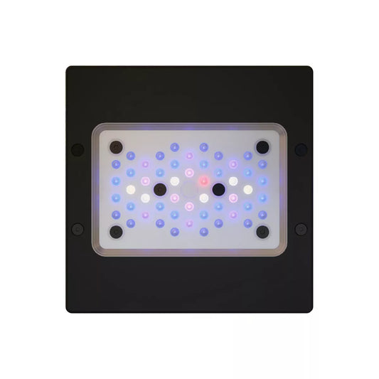 RADION XR15 G6 BLUE LED LIGHT